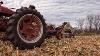 Picking Corn 1950s Style